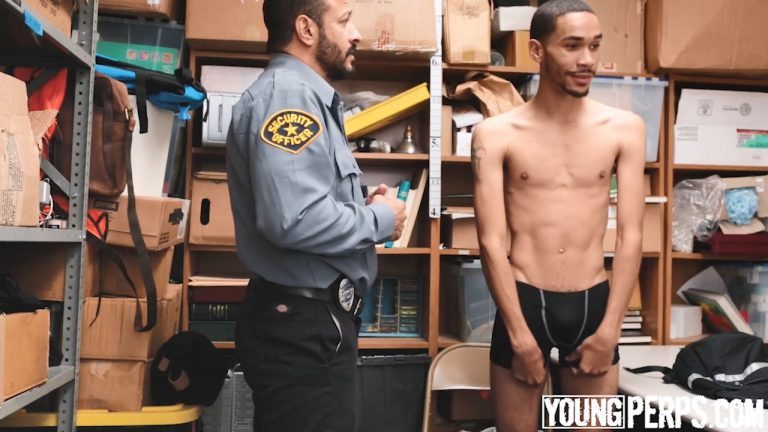 Case No. 1712011-77 – Petty Theft. 21 Year Old Black Male